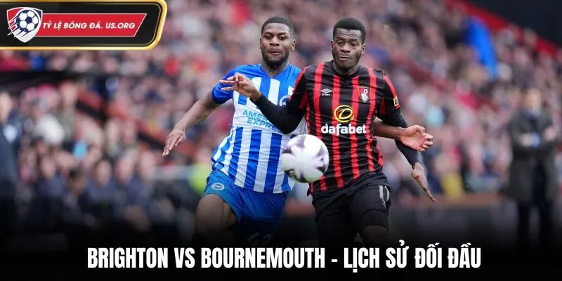 Lịch sử gặp mặt giúp soi kèo Brighton vs Bournemouth chuẩn
